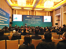 簡(jiǎn)訊 | 百人會(huì) “燃料電池產(chǎn)業(yè)化路徑與政策環(huán)境”峰會(huì)舉辦