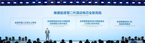 獨(dú)家｜對(duì)話楊紅新：蜂巢能源2024年如何“破卷”？